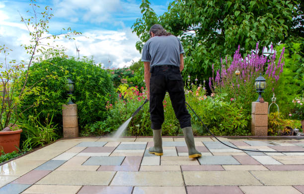 Best Driveway Pressure Washing  in Seven Oaks, SC
